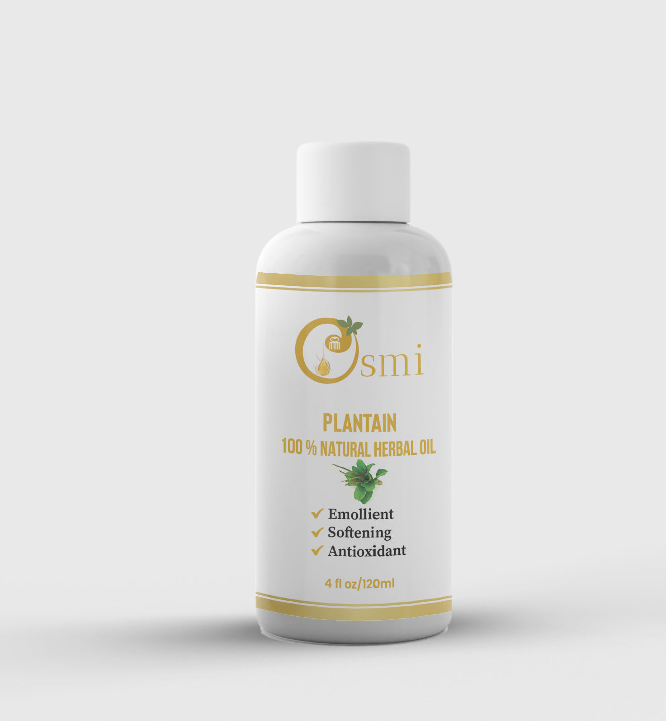 Platain Herbal Oil oz